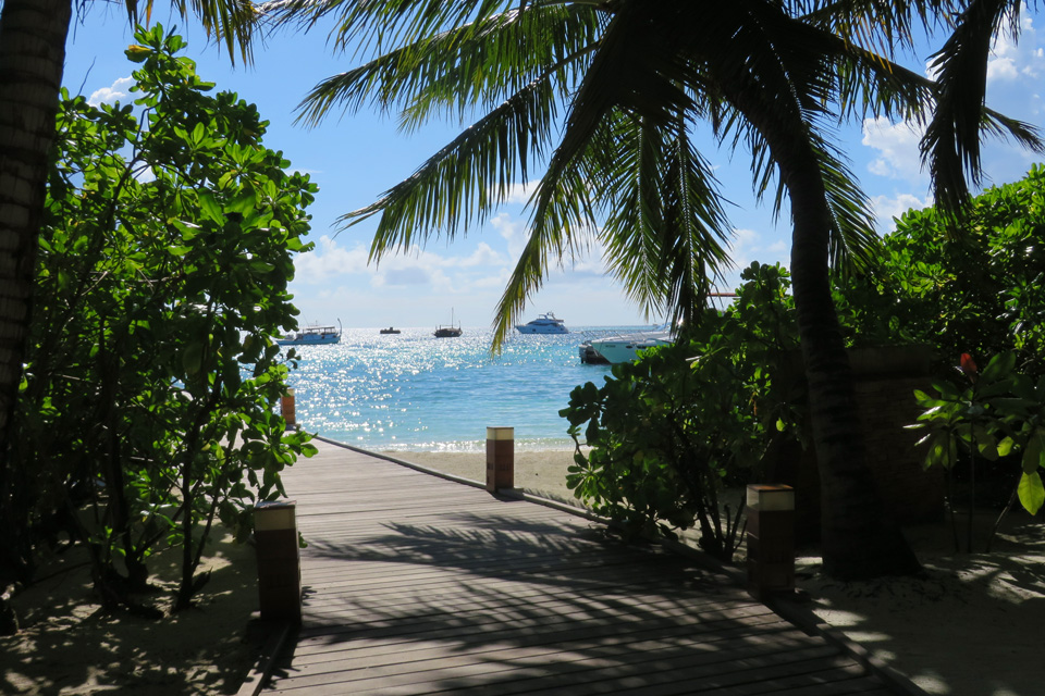 Cruising the Maldives. Enjoy your trip!