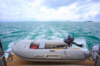 Leopard 51