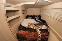 Leopard 51