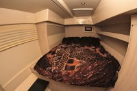 Leopard 51
